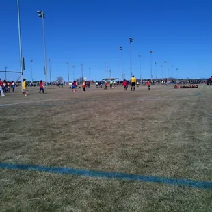 lots of brown going on