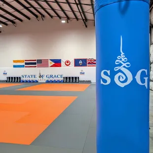 Fuji Muay Thai Bag and Fuji Mats