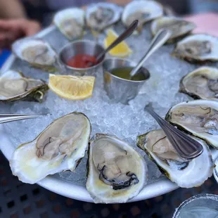 shellfish, mussels, oysters and mussels, oysters, food