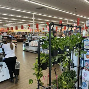 a woman shopping in a store