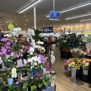 interior, salads