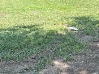 Lakewood Golf Club