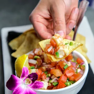Ceviche