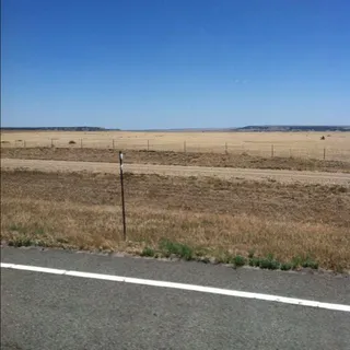 CO C.