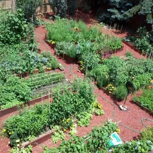 One of our Gourmet Gardens
