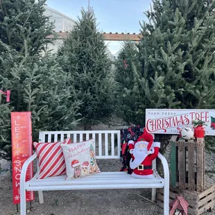 Christmas photo op!