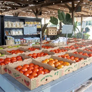 Summer produce (tomatoes)