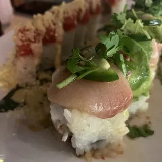 The Hybrid Roll