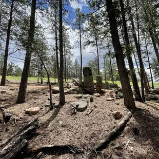 Davis Ponds Loop Trail