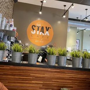 a person sitting at a table with plants on the counter