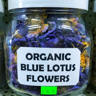 Blue Lotus Flowers
