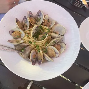Clam Pasta