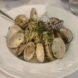 pasta dish, pasta, food