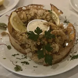 oysters and mussels, food