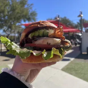 Grilled chicken sandwhich - bacon, cheese, aioli, avocado, farm fresh lettuce
