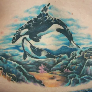 &apos;whales&apos;  by Nikki
