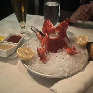 Maine Lobster Cocktail**