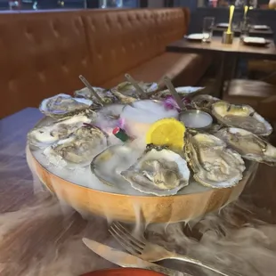 Fresh oysters