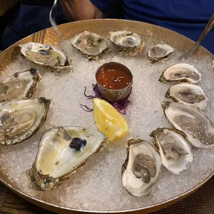 Oysters.