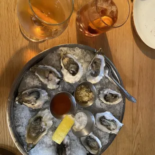 Daily Oysters