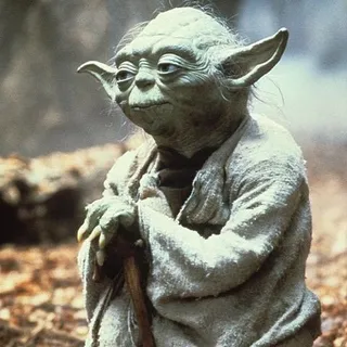 Yoda S.