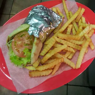 Beef &amp; Lamb Gyro Combo (comes with soda)