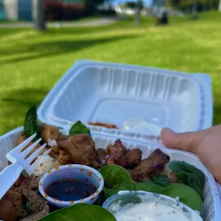 Small order of steak and chicken with greens