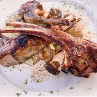 Lamb Chops