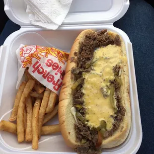 Large Cheesesteak with honey mustard and a lard side of fries.