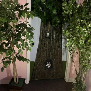 Are you ready to follow the white rabbit into Wonderland like Alice did in her dream?