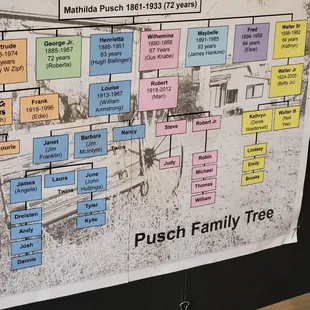 Another view of the family tree