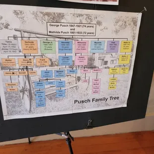 The family tree of the Pusch family