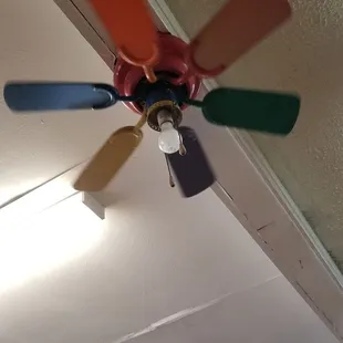 Fans are fun