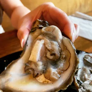 oysters, oysters and mussels, mussels, food, shellfish