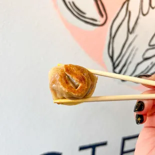 a hand holding chopsticks with a dumpling on it