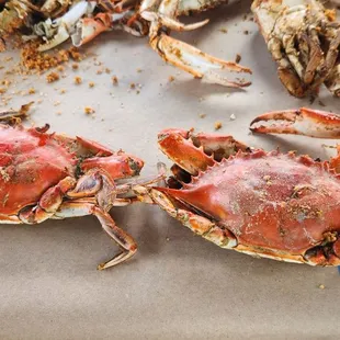 Supposed to be extra large crabs.