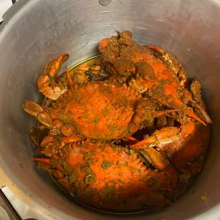 Xl crab next to medium or L