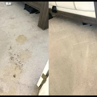 Pet stain removal