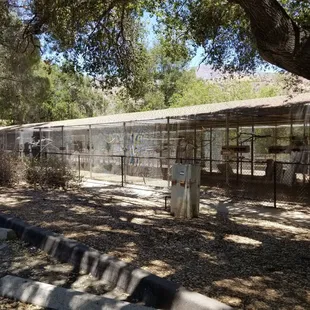 Take a few minutes to enjoy the birds and their songs