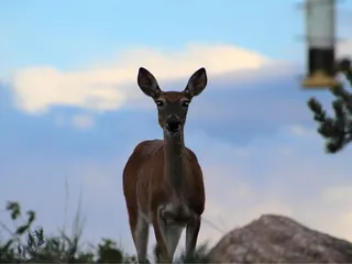 Fountain Creek Nature Center