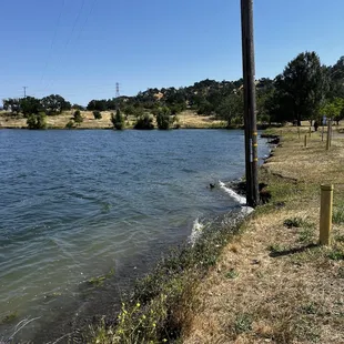 So happy to see the water SO high!