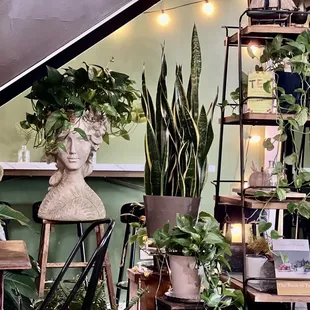 Beyond cute decorations