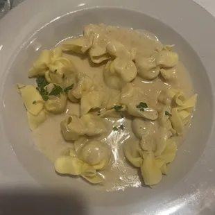 pasta, food, pasta dish