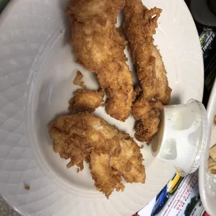 Grilled Chicken Tenders
