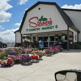 Steiner's Country Market