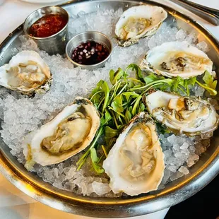 Oysters on the half shell