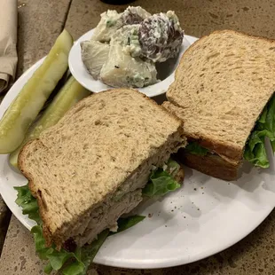 Chicken salad sandwich (minus the tomatoes plus the other plate's pickle) and a side of red skin potato salad