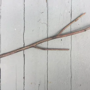 Not the actual stick in question