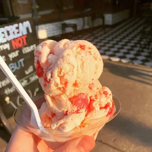 Stela&apos;s Cherry Ice Cream for me and 2 hypoallergenic small bowls for my dogs.