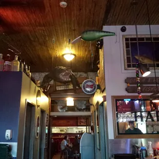 Alligator and oversize lure :)